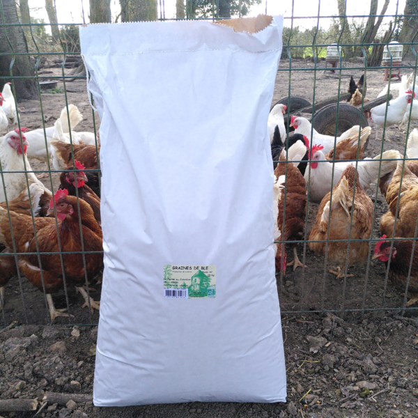 Blé Bio pour poules - 25 kg