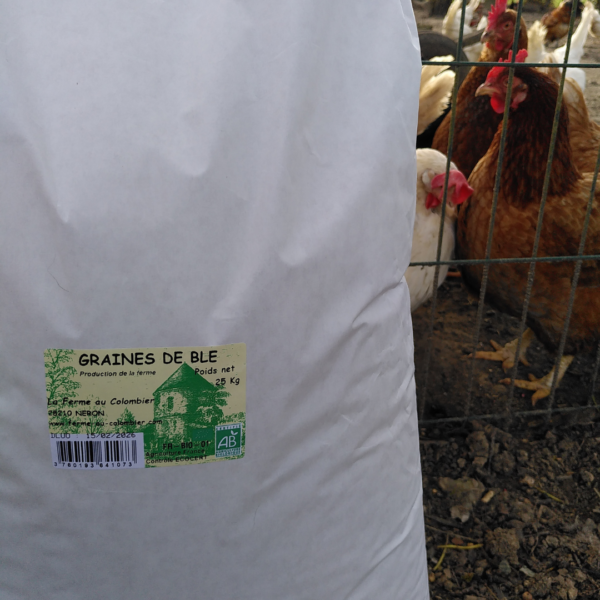 Blé Bio pour poules - 25 kg – Image 2